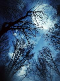 Low angle view of silhouette bare trees against sky