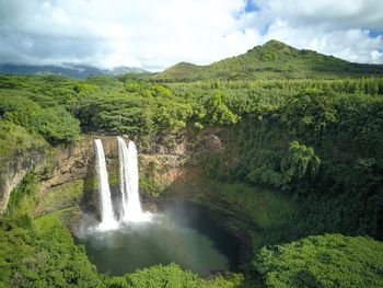 Scenic view of waterfall in forest