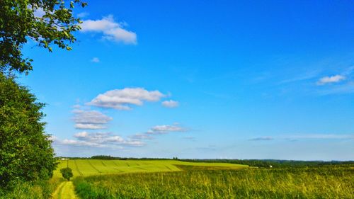 Scenic view of field against cloudy sky