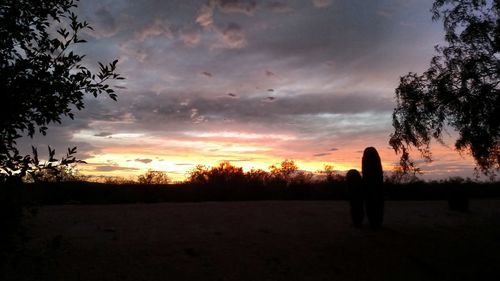 Silhouette of trees at sunset