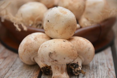 Close-up of mushrooms on table