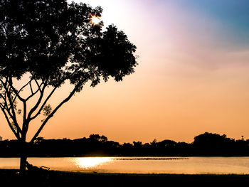 Silhouette trees by lake against sky during sunset