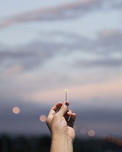 Cropped hand of woman holding flower against cloudy sky during sunset