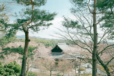 Temple amidst trees against sky