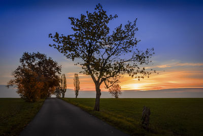 Silhouette tree against clear sky at sunset