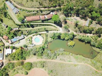 High angle view of agricultural landscape