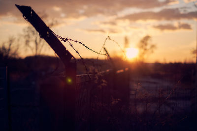 Close-up of silhouette plants against sky during sunset