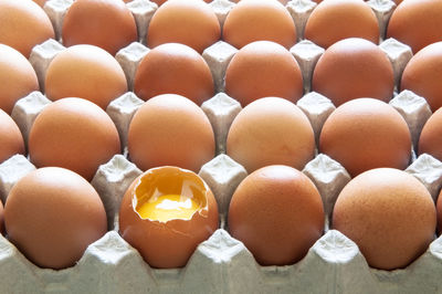 High angle view of eggs in row
