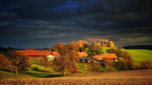 Trees on field against dramatic sky at sunset