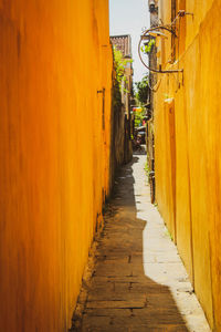 Narrow alley along buildings