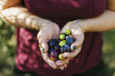 Woman's hands holding black and green olives