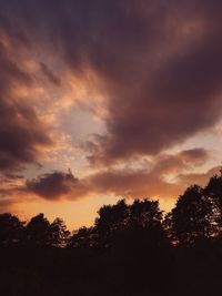 Low angle view of silhouette trees against sky during sunset