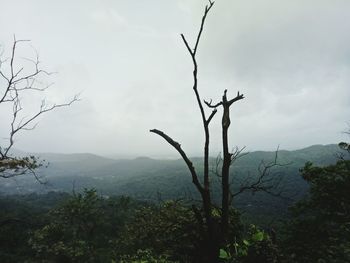 Bare tree on landscape against sky