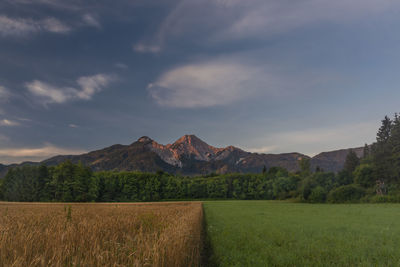 Scenic view of field against sky