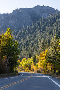 Road amidst trees against mountain