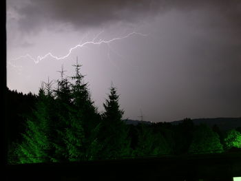 Lightning over silhouette trees against sky at night