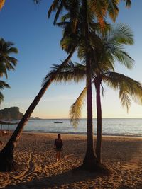 Rear view of woman standing by palm trees at beach against sky during sunset