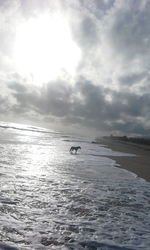 View of sea against sky