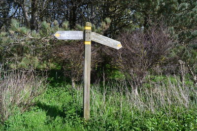 View of cross on field