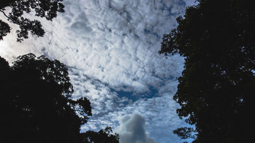 Low angle view of silhouette trees against sky