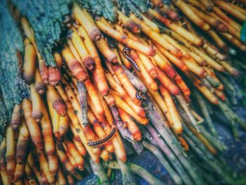 Close-up of vegetables at market stall