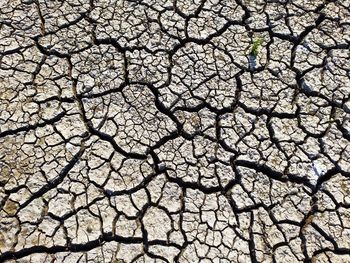 Full frame shot of cracked land