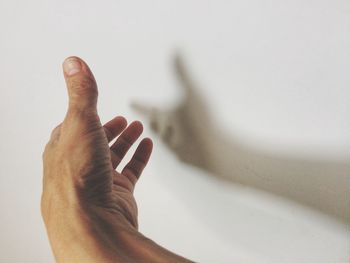 Close-up of human hand by shadow on white wall