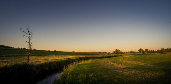 Scenic view of field against clear sky at sunset