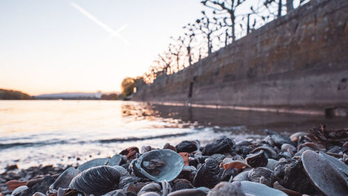 Surface level of rocks on beach against sky