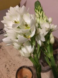 Close-up of flowers on table