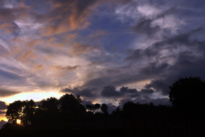 Low angle view of silhouette trees against sky