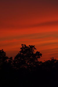 Silhouette tree against orange sky