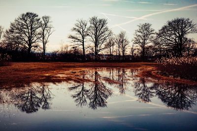 Reflection of bare trees in lake against sky during sunset