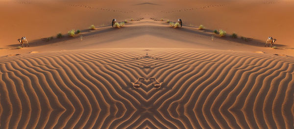 Scenic view of sand dune on beach against sky