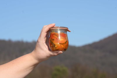 Midsection of person holding orange against sky