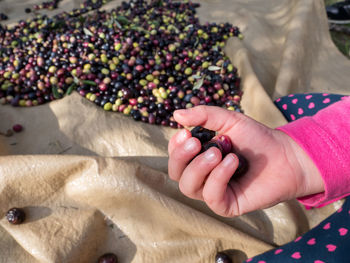 Cropped image of girl with olives on field