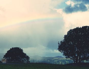 Trees on field against rainbow in sky