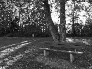 Empty bench on grassy field