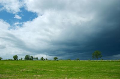 Scenic view of field against sky