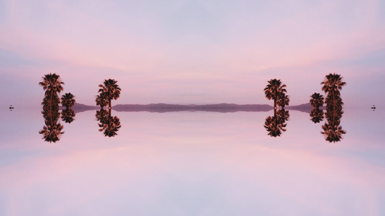 Palms & Sunset at the Beach