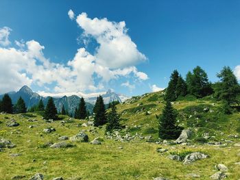 Panoramic view of landscape against sky