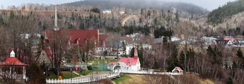 High angle view of trees and buildings in town