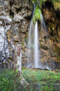 Scenic view of waterfall in forest