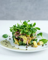 Close-up of potato salad in plate on table