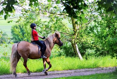 Horses riding horse