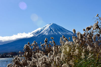 Scenic view of snowcapped mountains against clear blue sky