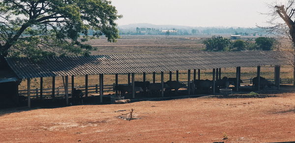 Houses on field by trees against sky