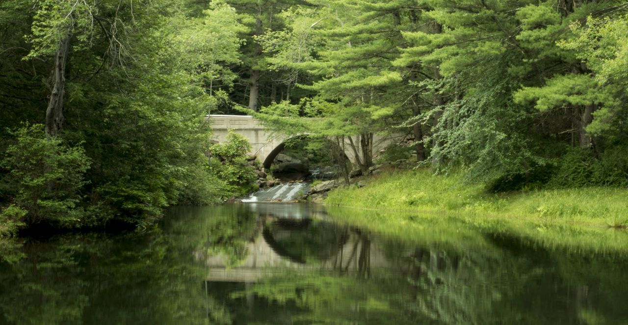 Hickory Run Campground