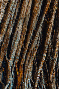 Full frame shot of fishing net