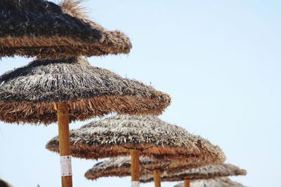 Low angle view of palm tree against clear sky